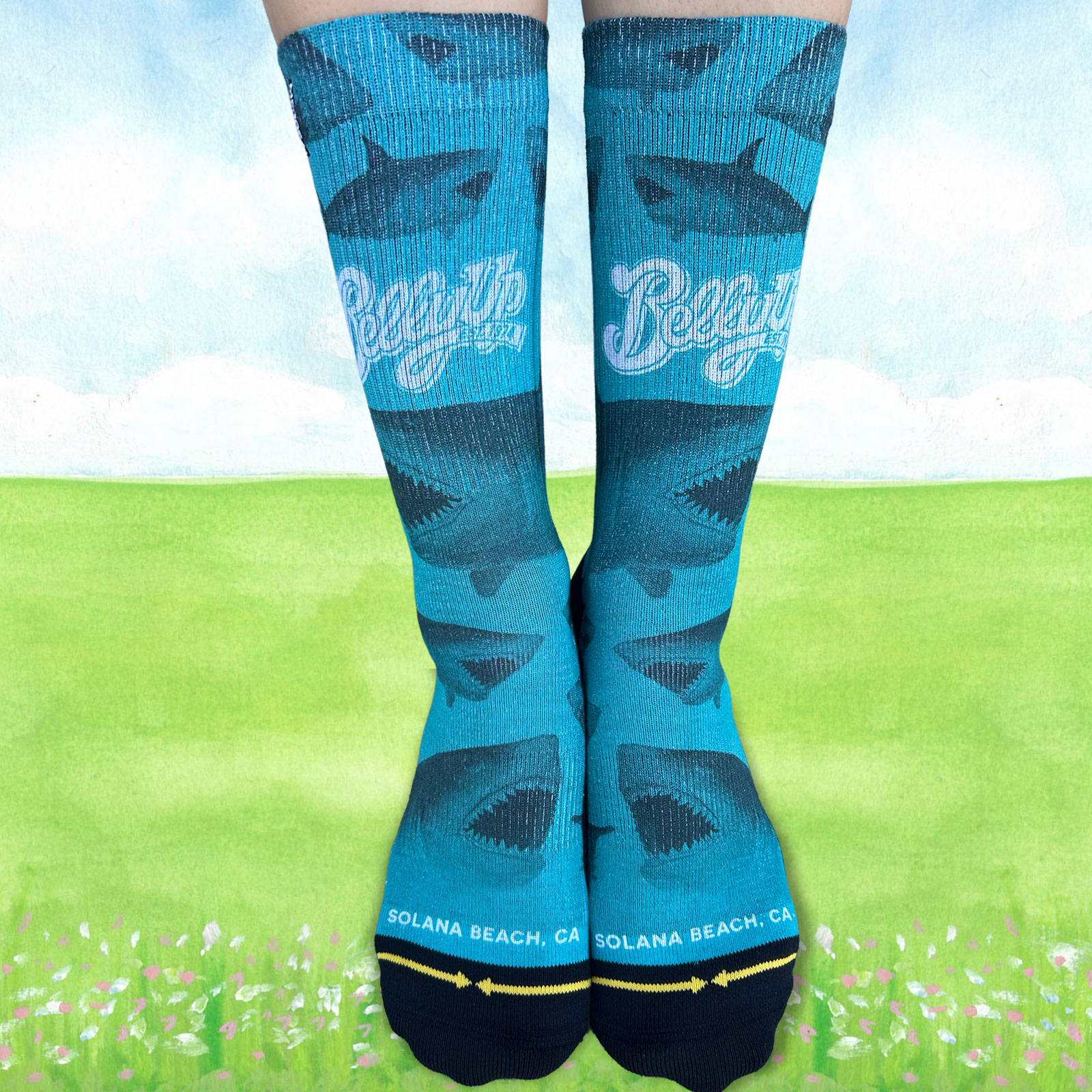 Photo of Belly Up Shark Socks